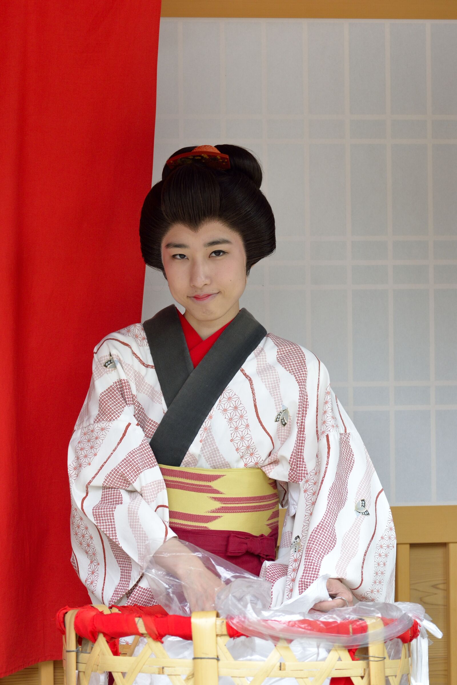 Nikon D610 sample photo. Japan, geisha, culture photography