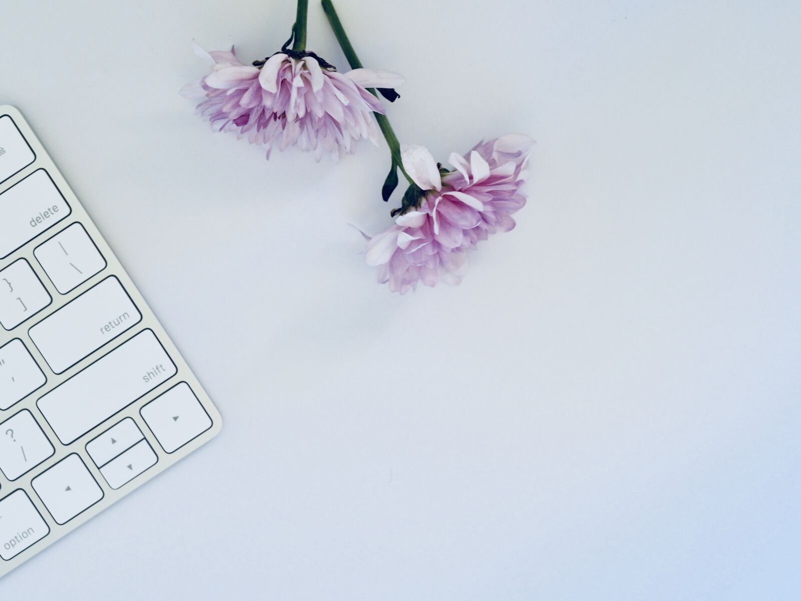 Olympus OM-D E-M10 II sample photo. Whitespace, desktop, business photography