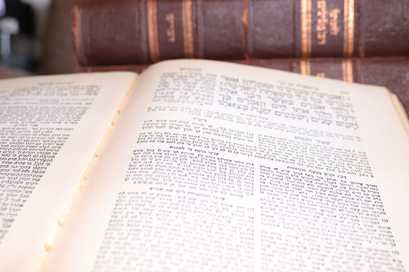 Canon EOS 200D (EOS Rebel SL2 / EOS Kiss X9) sample photo. Torah, bible, studying photography