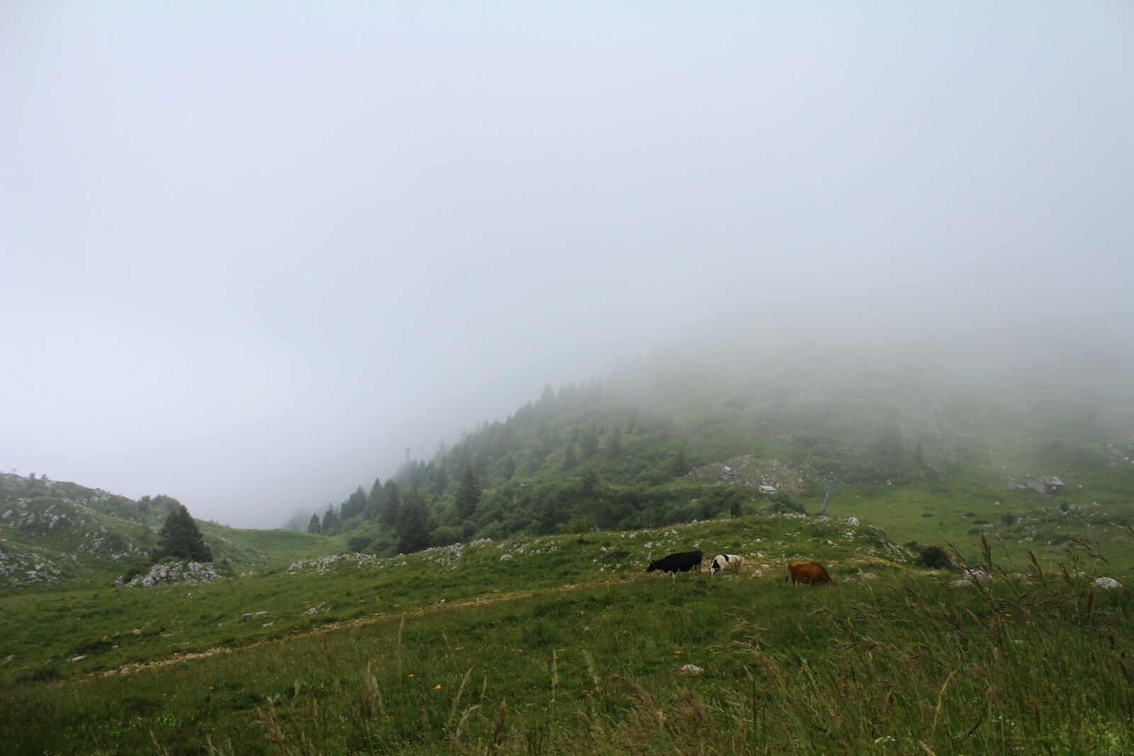 Canon EOS 600D (Rebel EOS T3i / EOS Kiss X5) sample photo. Fog, mist, landscape photography