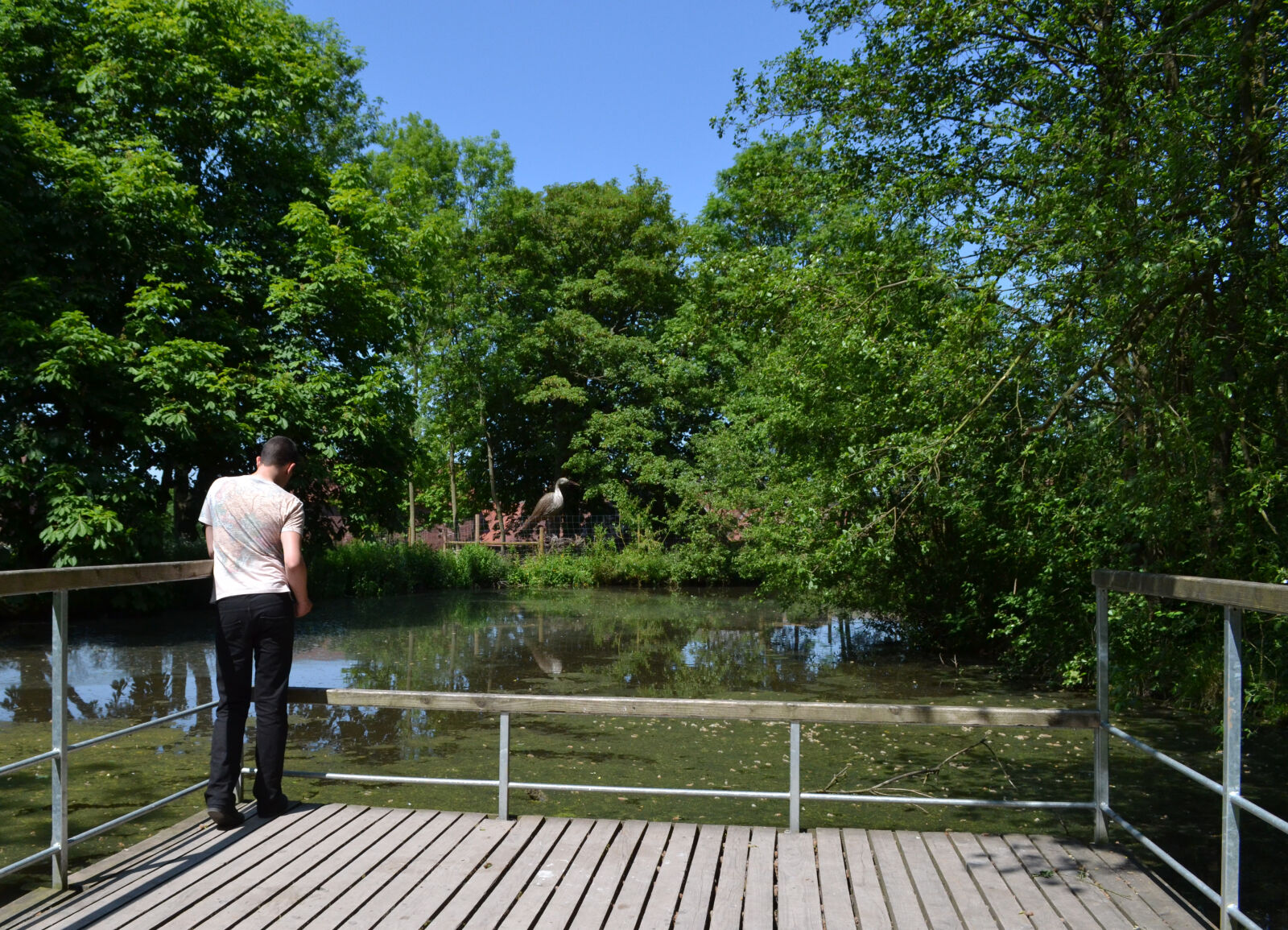 Nikon D3100 sample photo. Blue, sky, england, lake photography