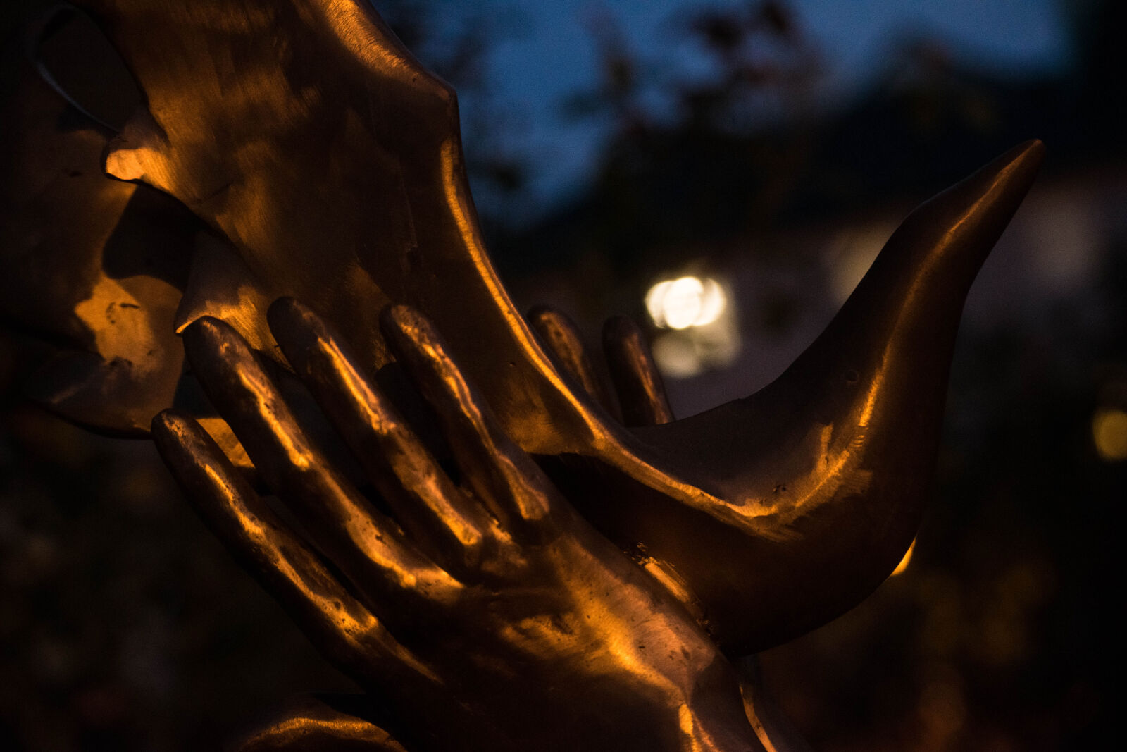 Nikon D3300 sample photo. Bird, dark, night, statue photography