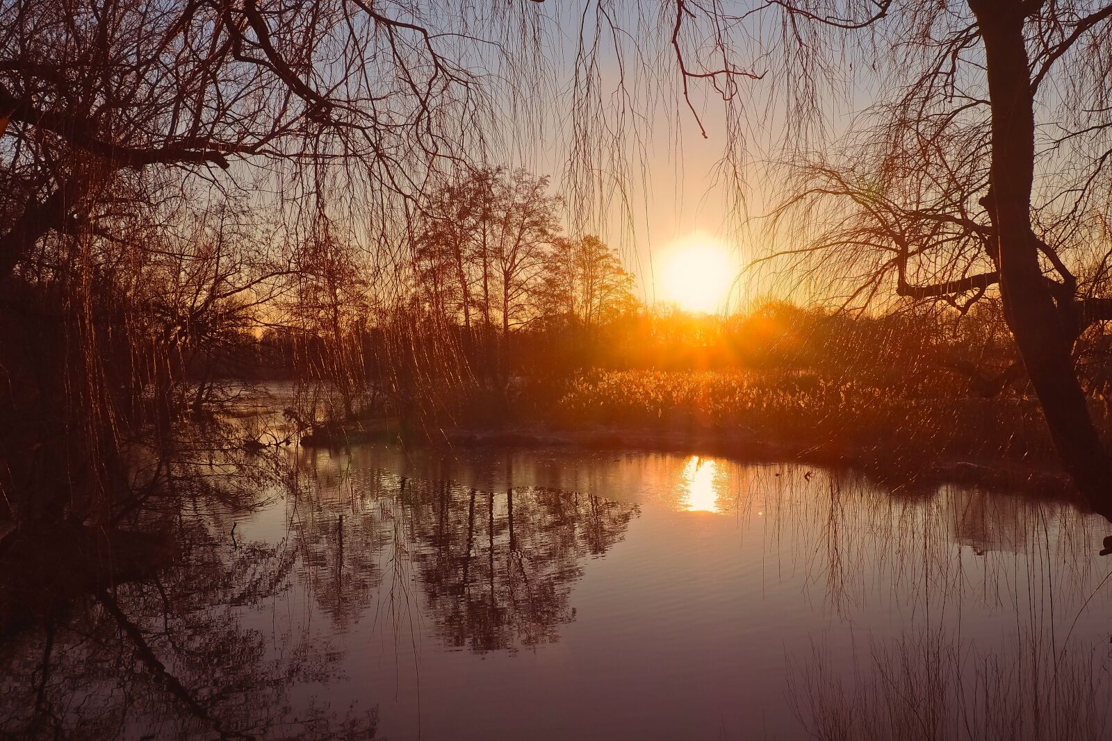 Olympus OM-D E-M10 sample photo. Landscape, lake, nature photography