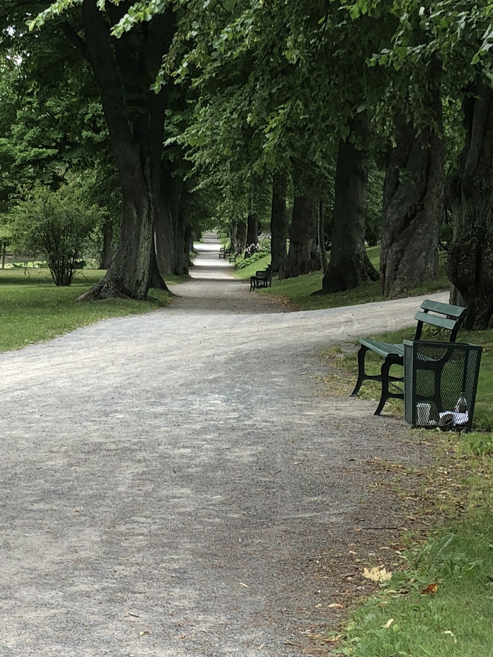 Apple iPhone 8 sample photo. Walk, park, scenery photography