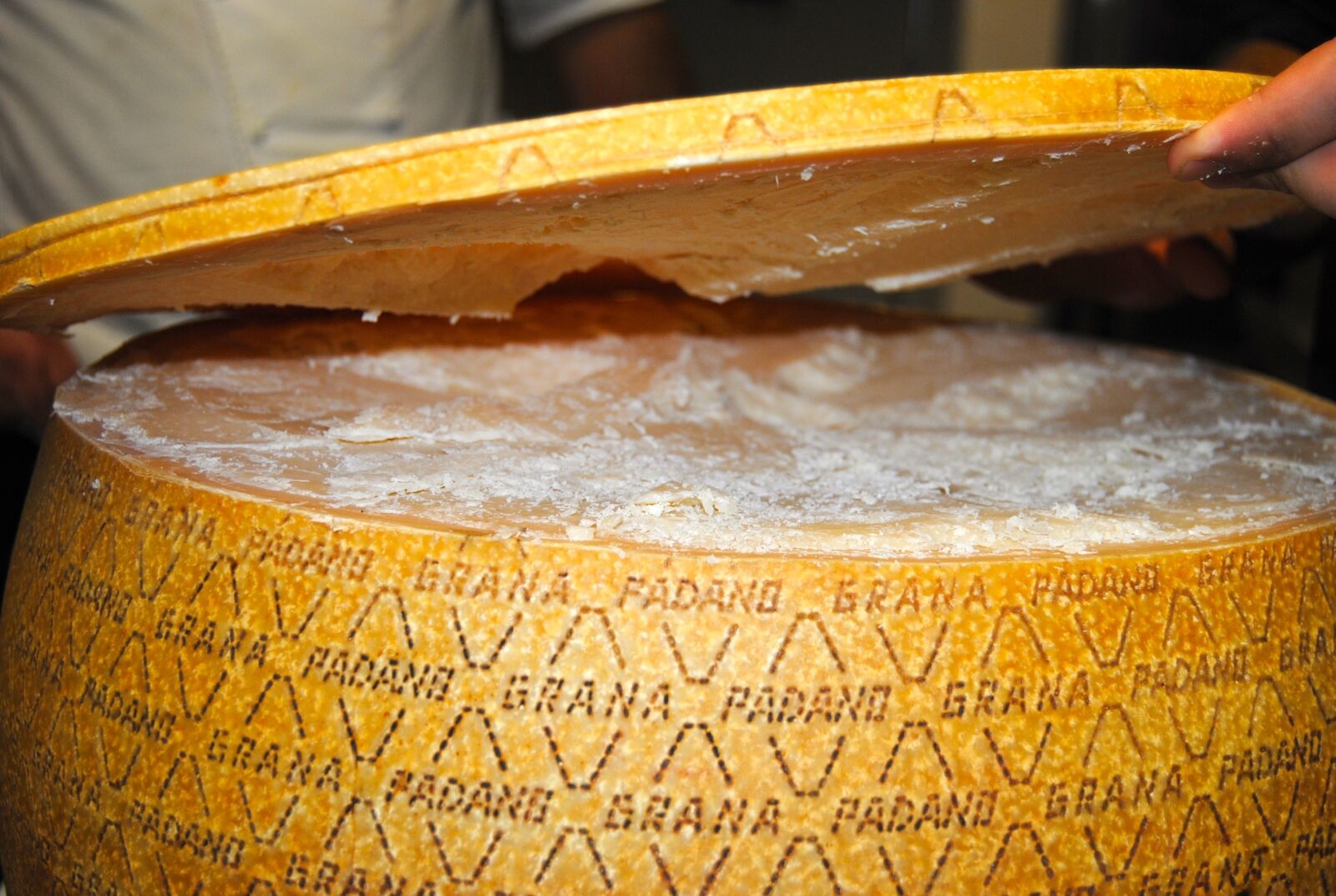 Nikon D3000 sample photo. Grana, padano, cheese corporeal photography