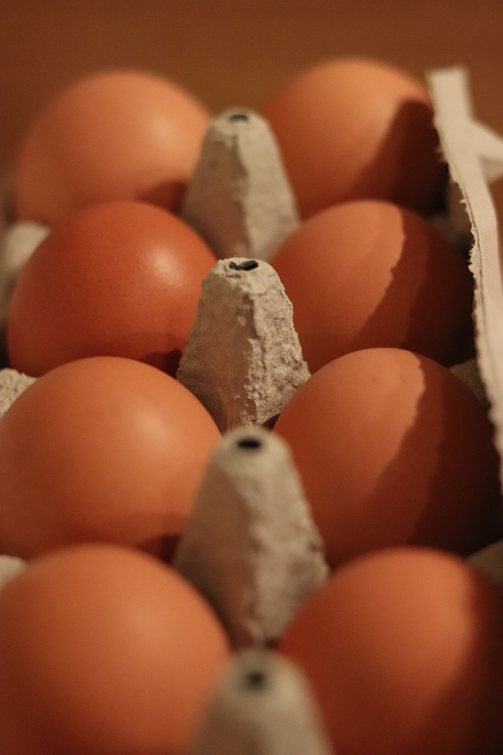 Canon EOS 77D (EOS 9000D / EOS 770D) + Canon EF 50mm F1.8 STM sample photo. Eggs, box, power photography