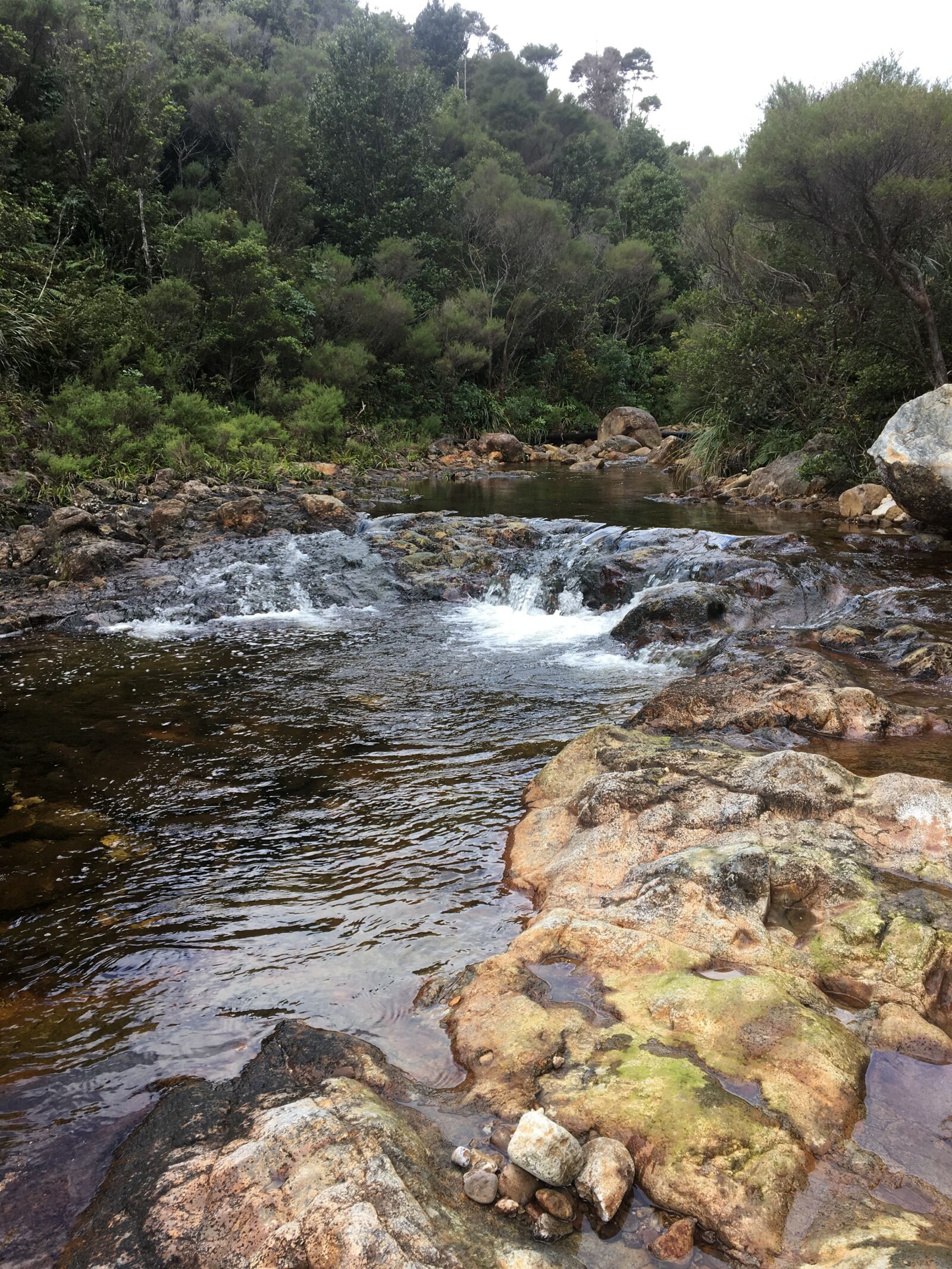 Apple iPhone 6s sample photo. Thames, waterfall, kauaeranga photography