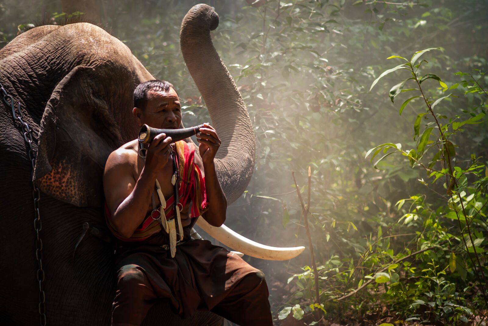 Nikon D3100 sample photo. Elephant, thailand, countryside photography