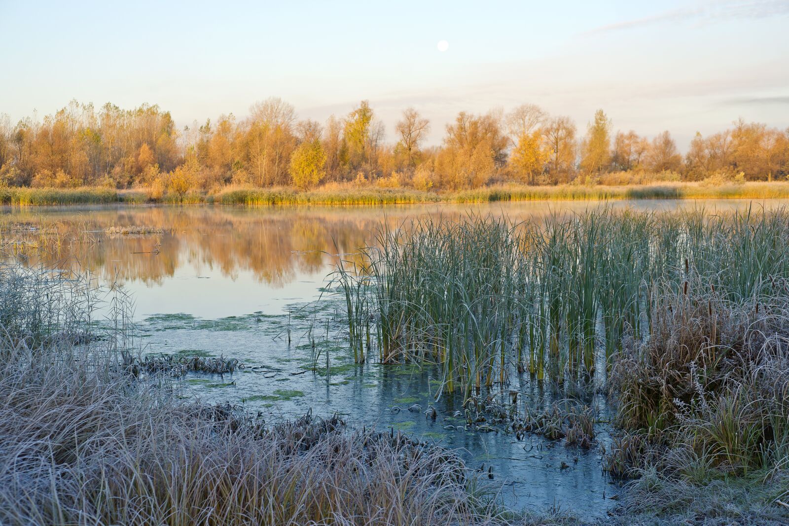 Sony Alpha DSLR-A850 sample photo. River, the first, siberia photography