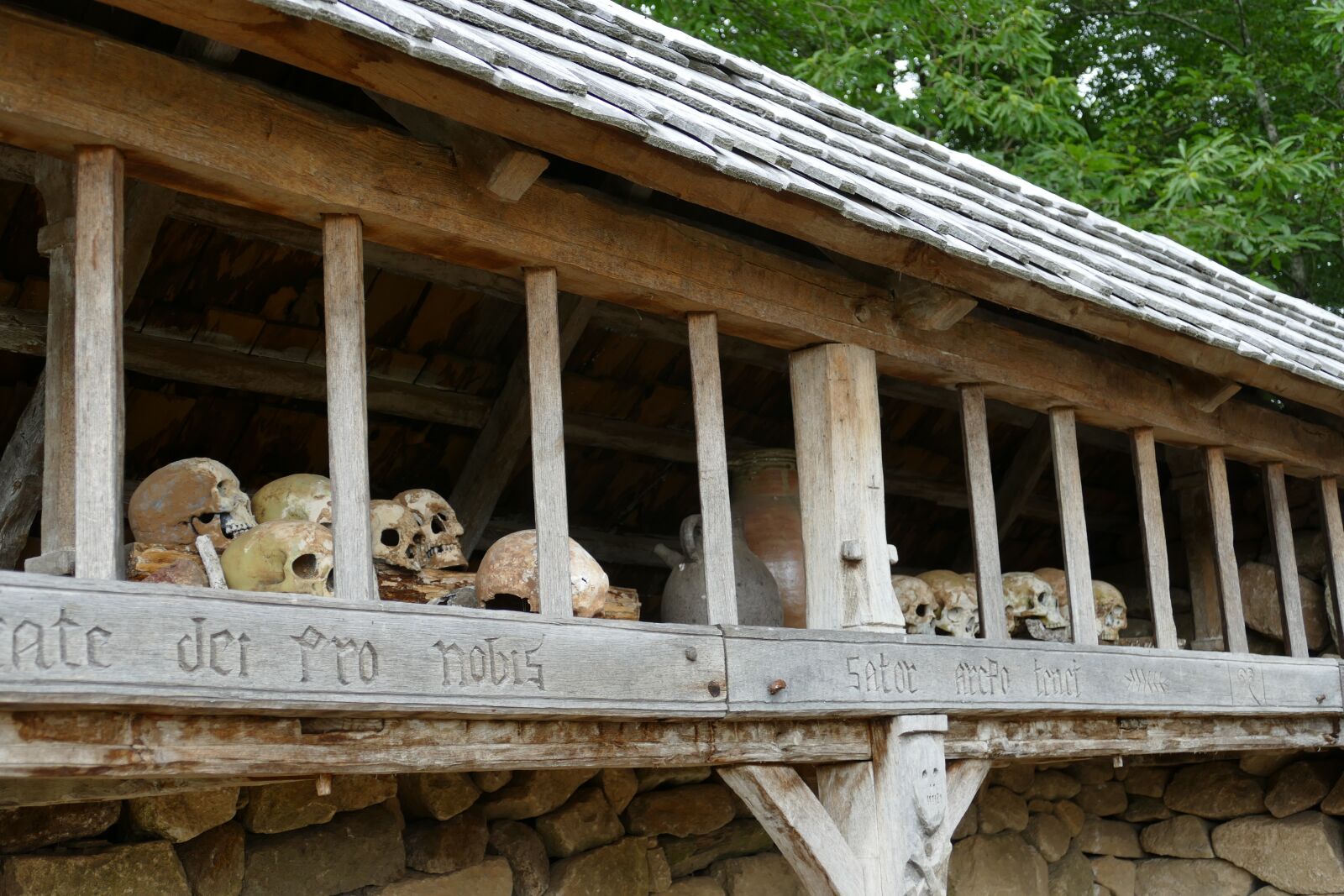Panasonic Lumix DMC-FZ1000 sample photo. Skull, bot, death photography
