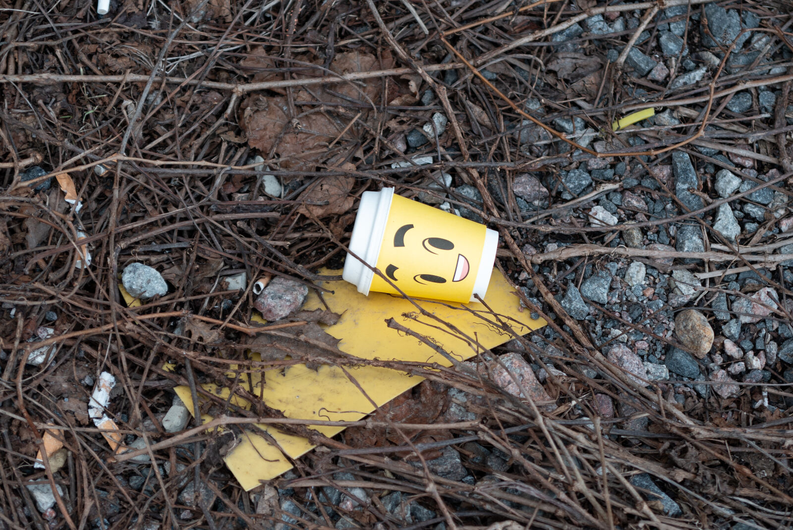 SUMMILUX 1:1.7/28 ASPH. sample photo. Littering ground photography