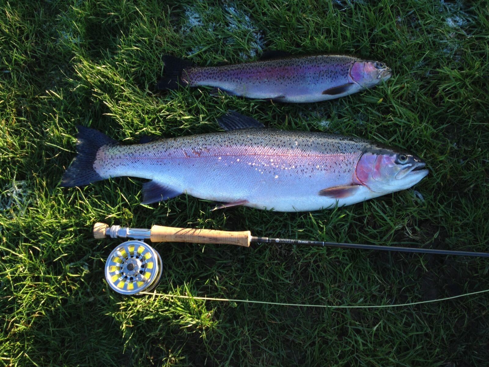 Apple iPhone 4S sample photo. Fish, fishing, rod, rainbow photography