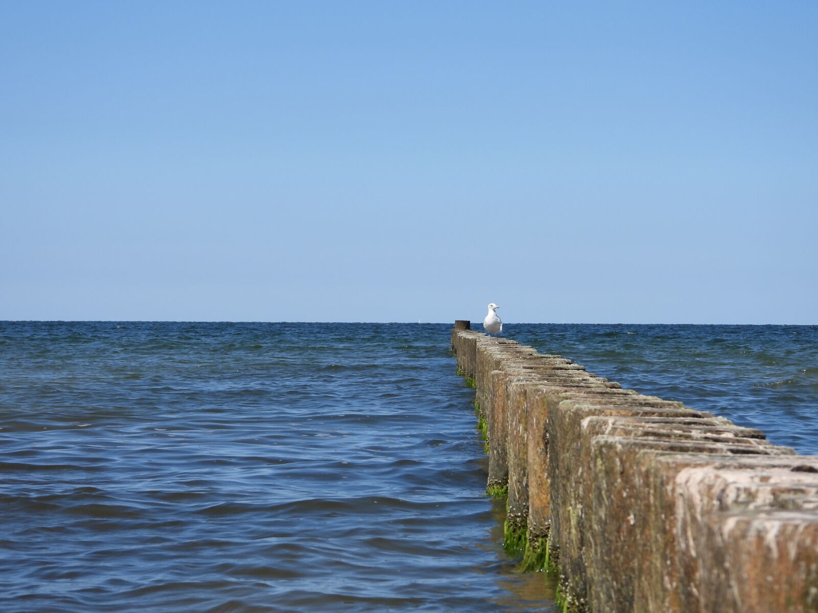 Nikon Coolpix P1000 sample photo. Wooden posts, lake, sea photography