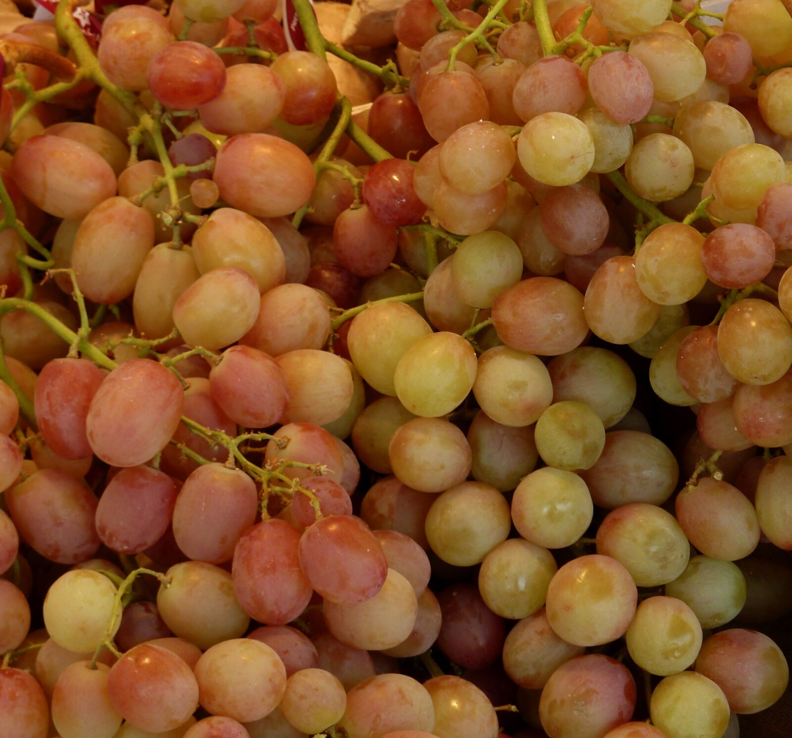 Panasonic DMC-TZ7 sample photo. Grapes, sweet, fruit photography