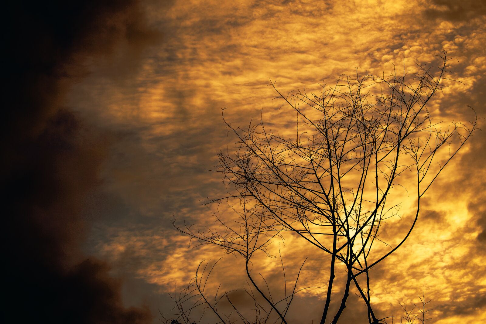 Canon EF-S 55-250mm F4-5.6 IS STM sample photo. Nature, sky, alone photography