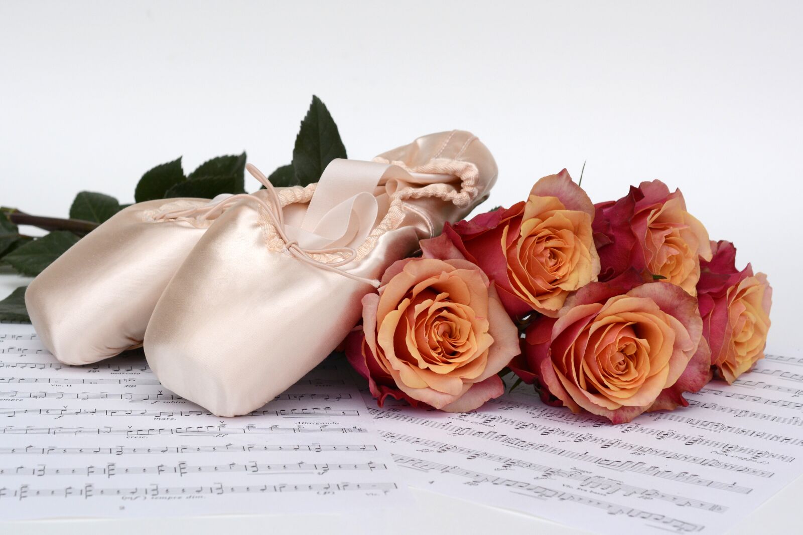 Nikon D7100 sample photo. Ballet shoes, dance, roses photography
