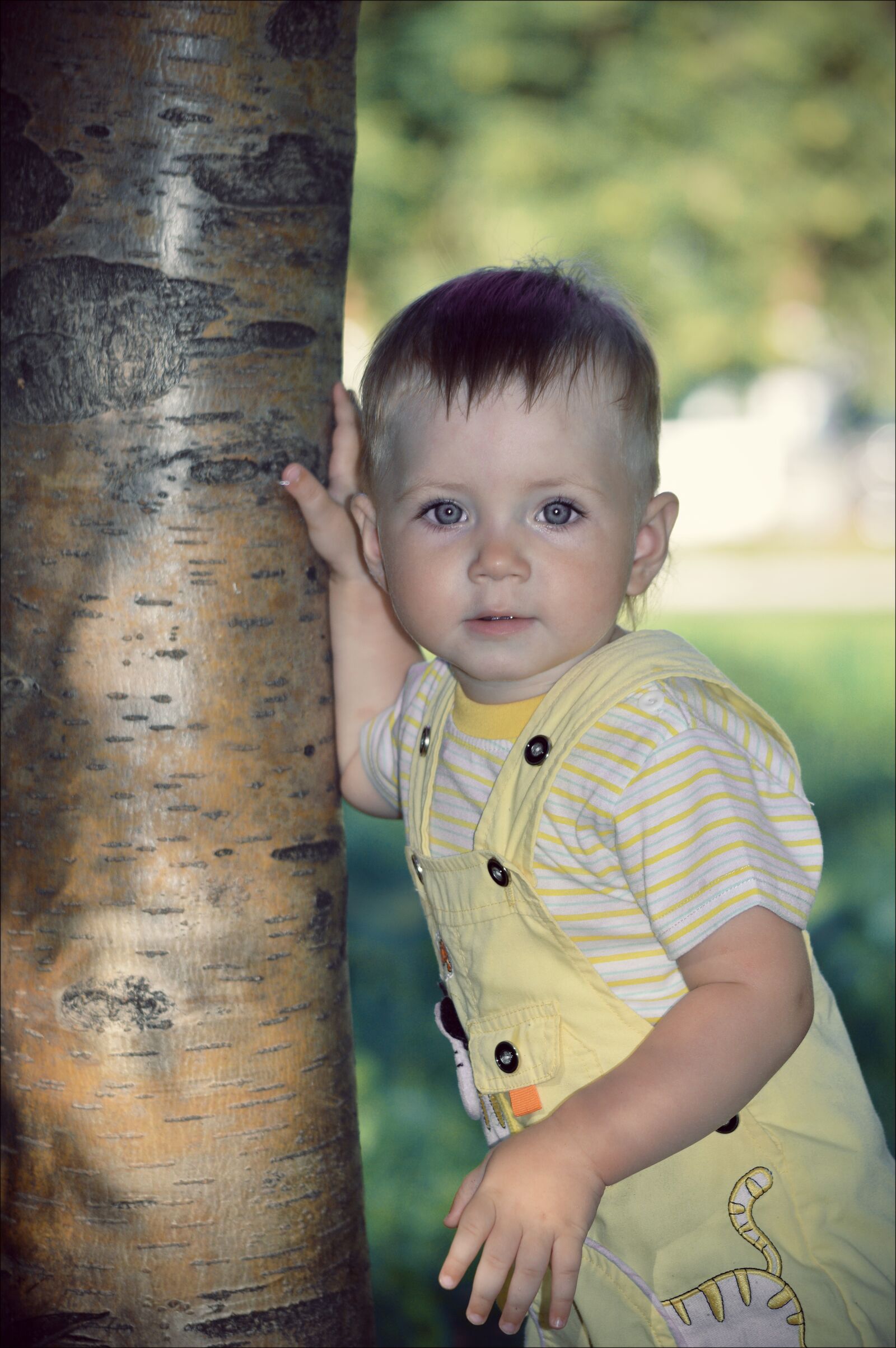 Nikon D3200 sample photo. Tree, nature, summer photography