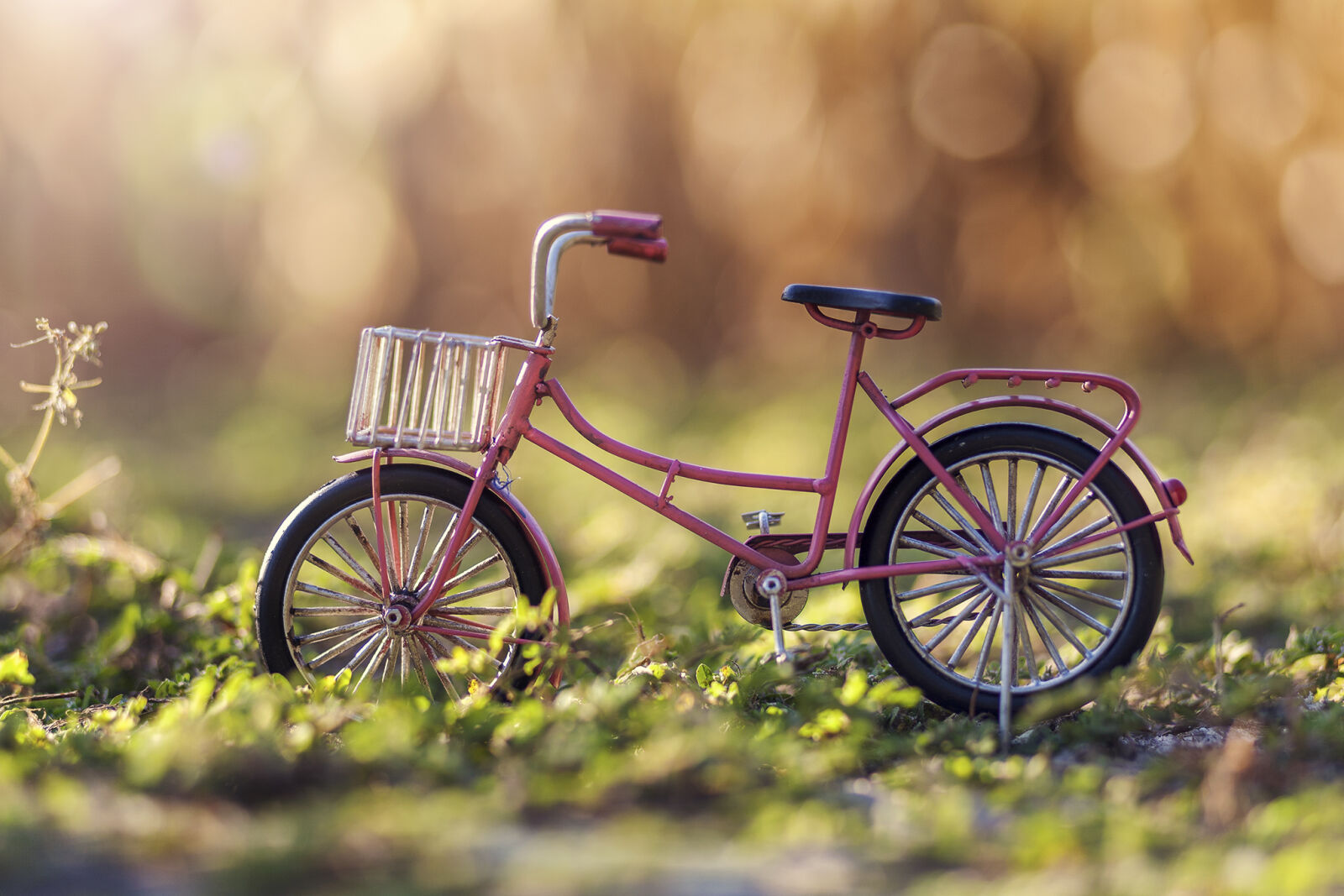 Canon EOS 5D + Canon EF 85mm F1.8 USM sample photo. Bike, grass, pink, sunset photography