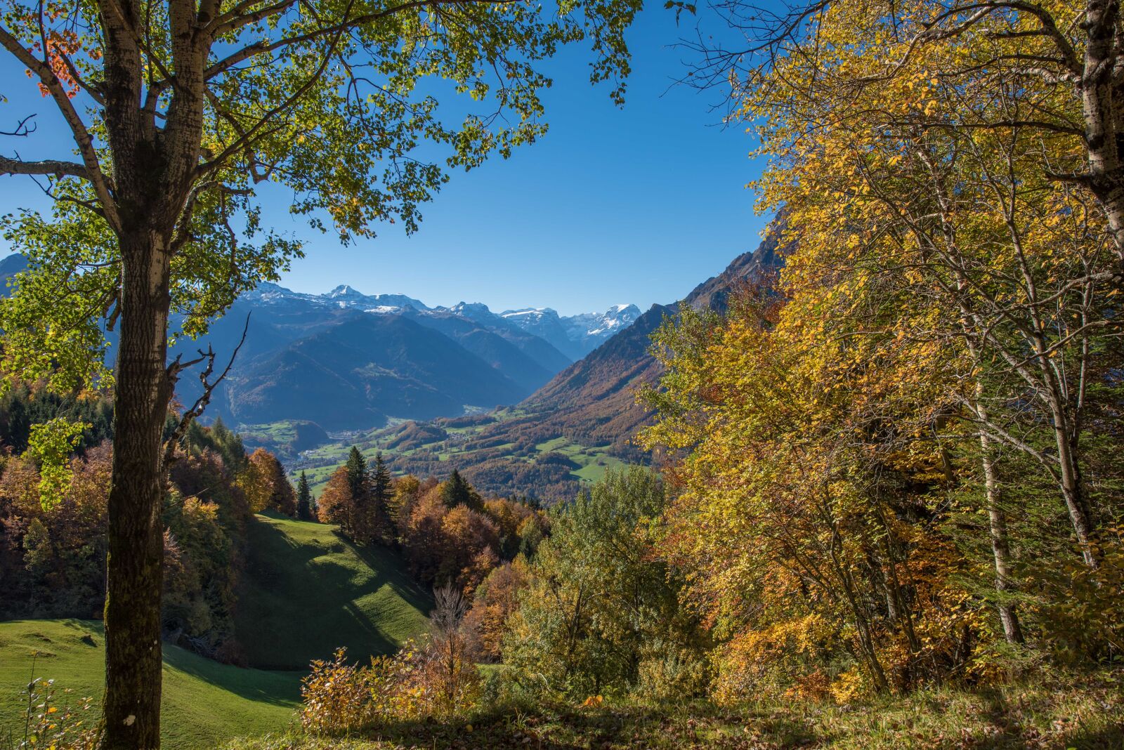 Nikon D750 sample photo. Mountains, autumn, landscape photography