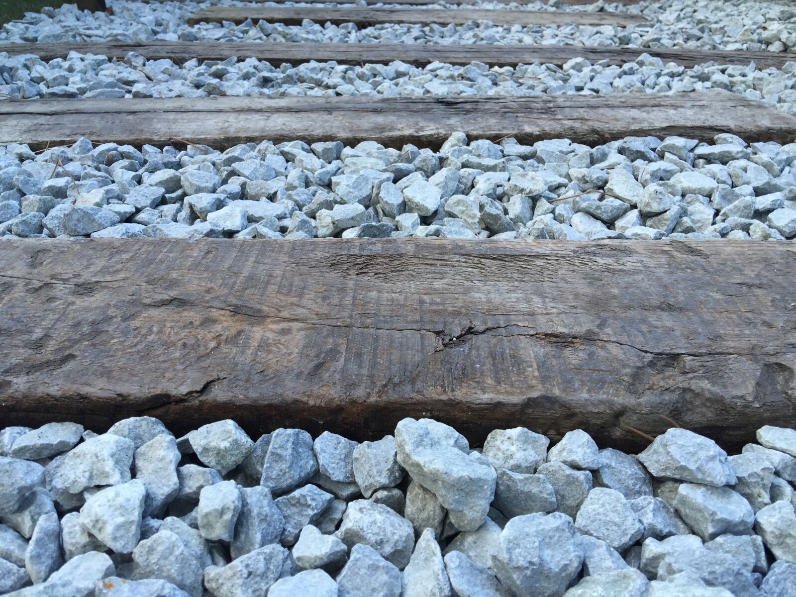 iPhone 6 Plus back camera 4.15mm f/2.2 sample photo