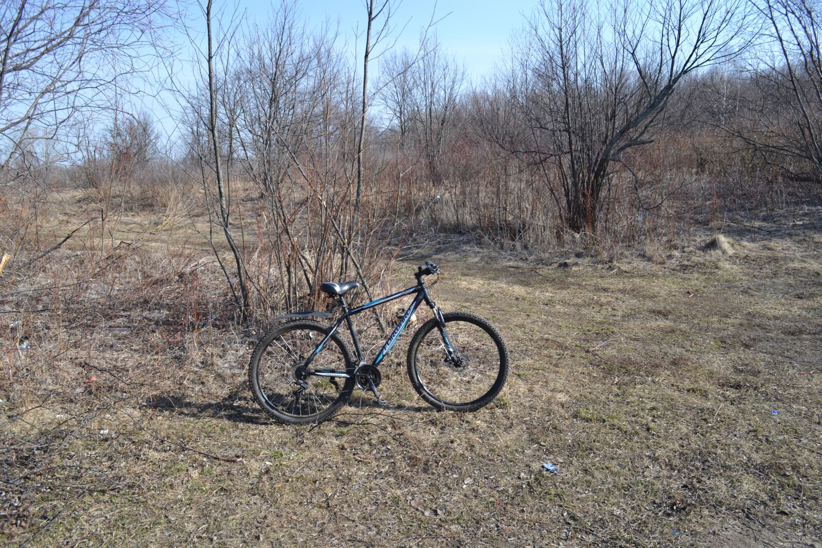 Nikon D3100 sample photo. Bike, stroll, nature photography
