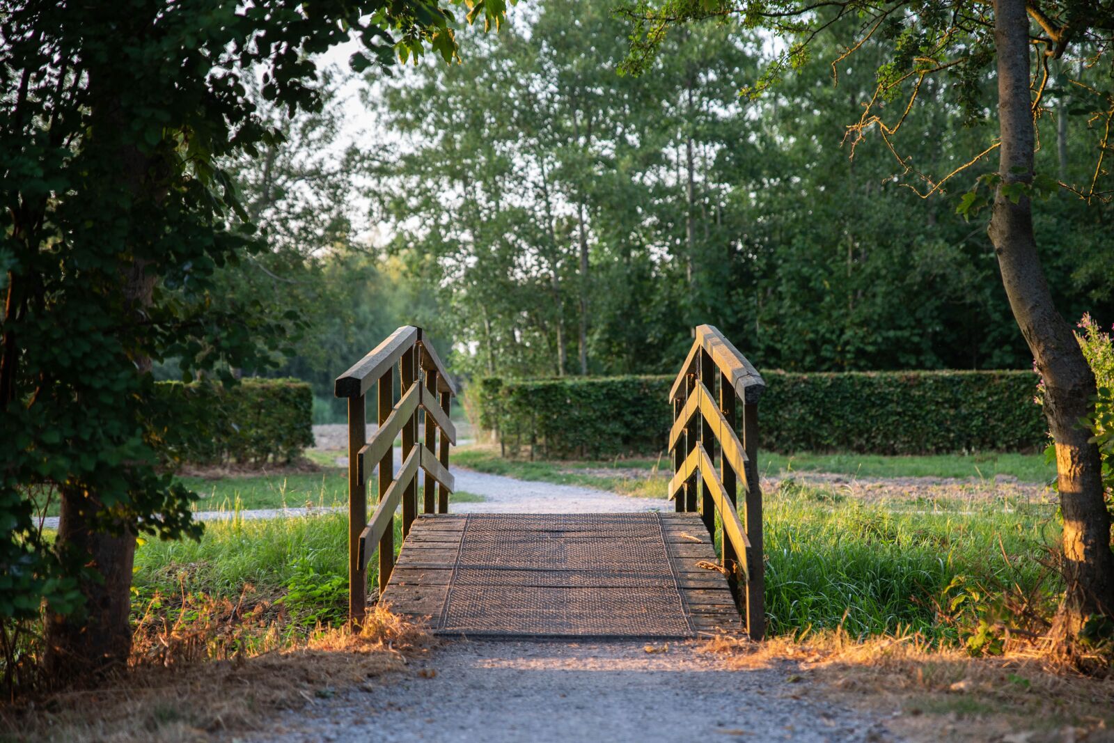 Canon EOS 6D Mark II sample photo. Park, bridge, trees photography