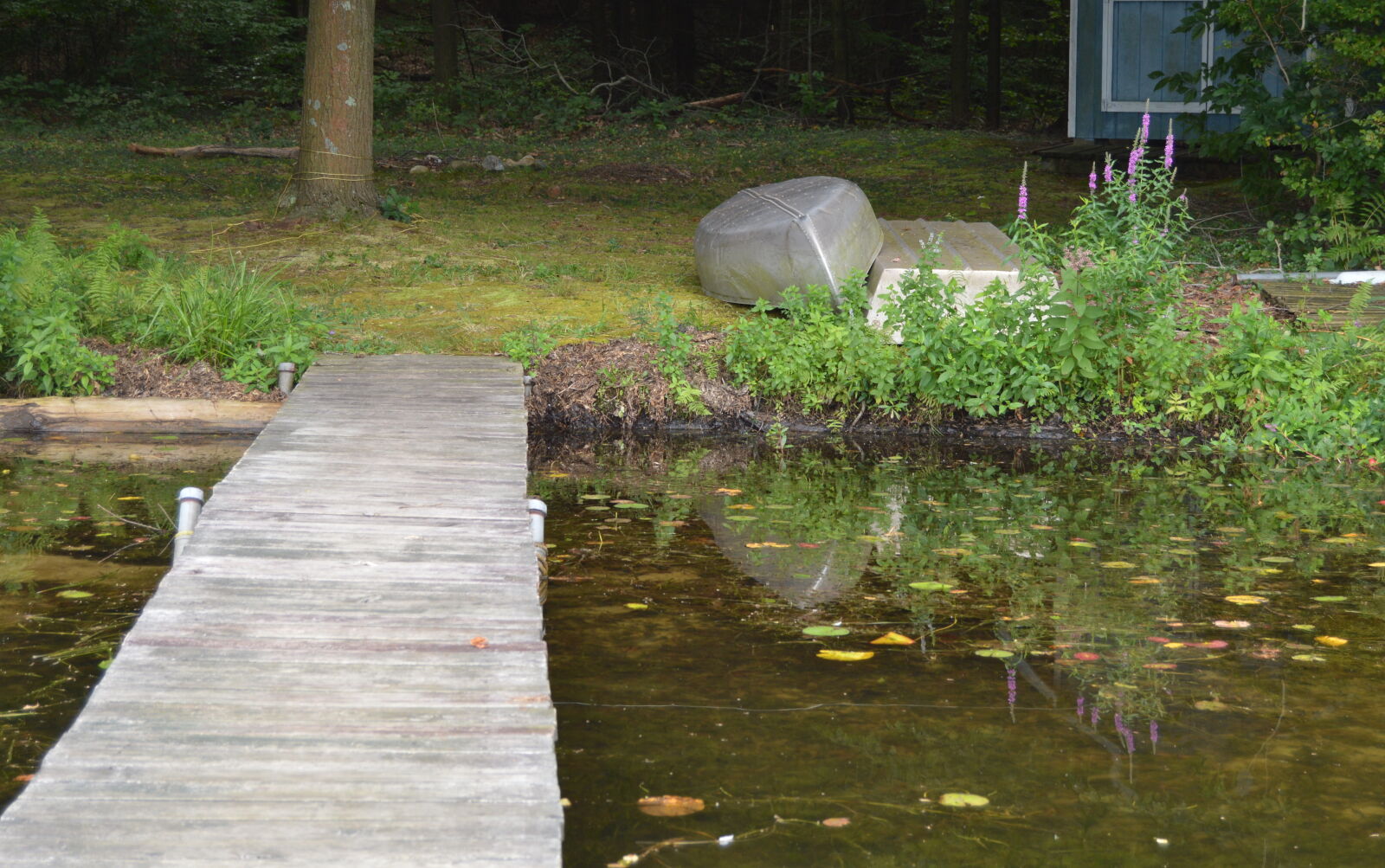 Nikon D3200 sample photo