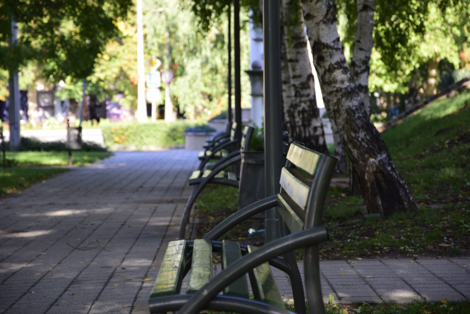 Nikon D5300 sample photo. Pad, green, spring photography