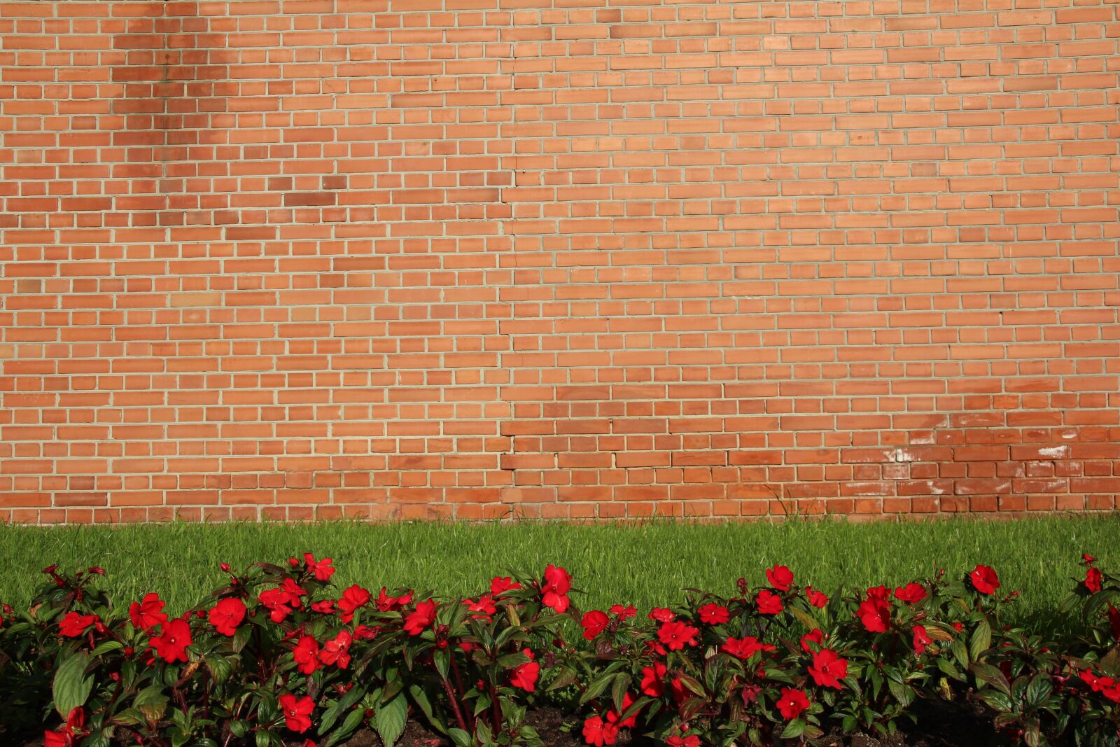 Canon EOS 600D (Rebel EOS T3i / EOS Kiss X5) sample photo. Background, wall, meadow photography