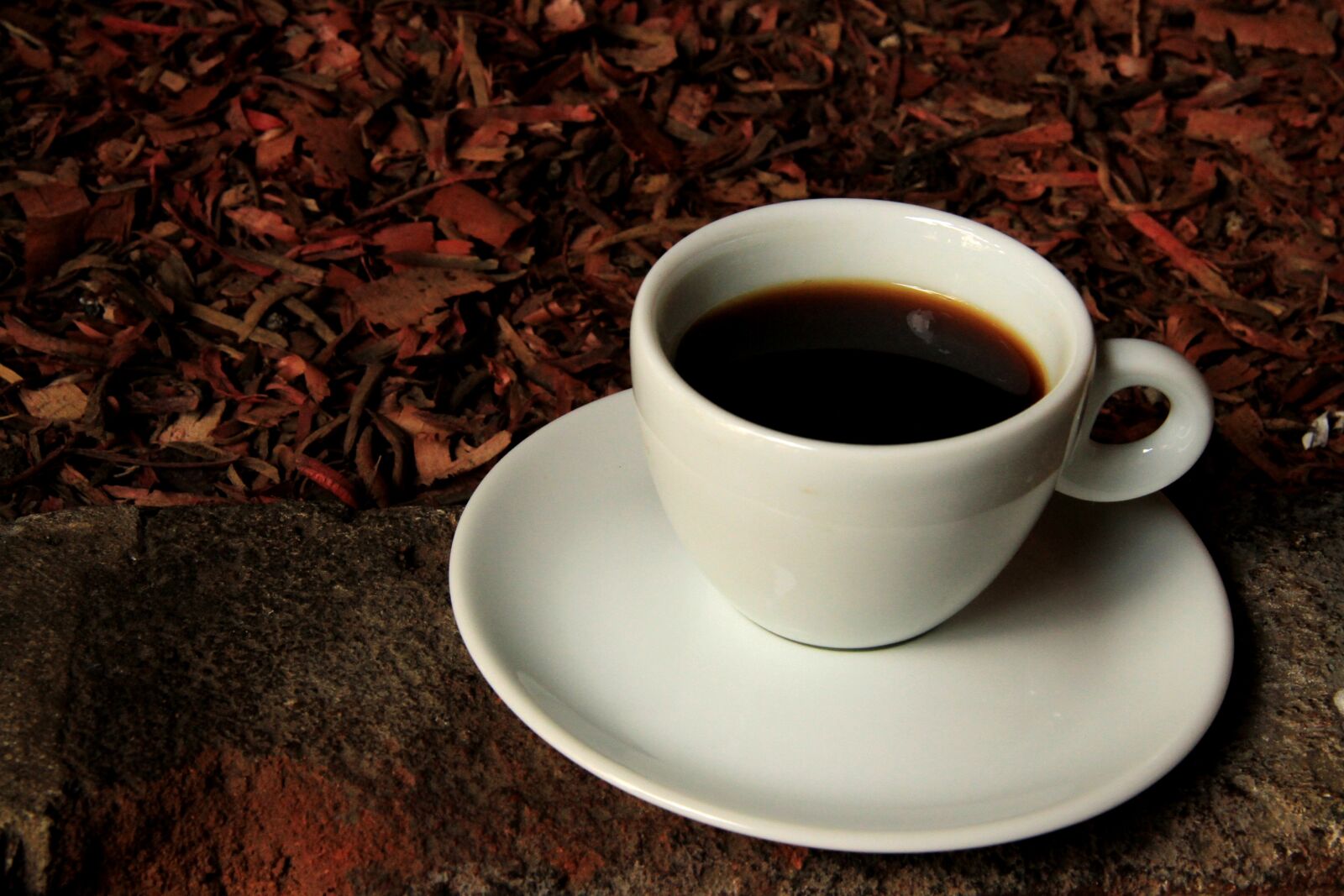 Canon EOS 7D sample photo. Cup, coffee, drink photography