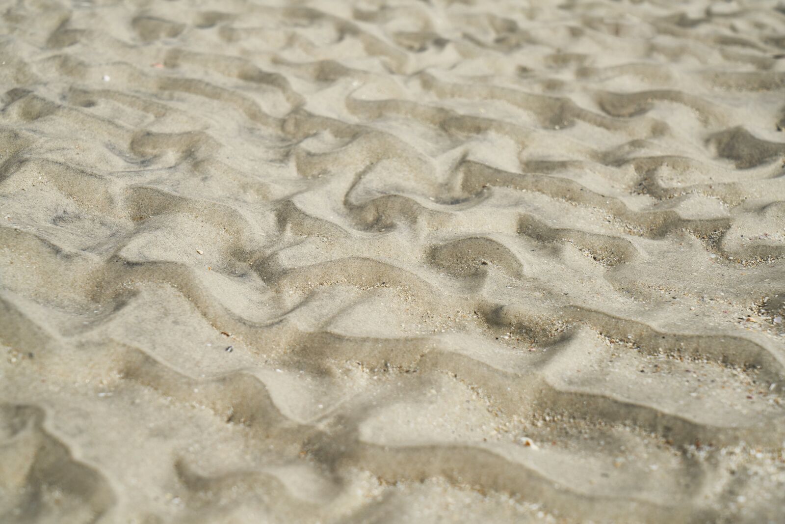 Sony a7R II sample photo. Sand, beach, a grain photography