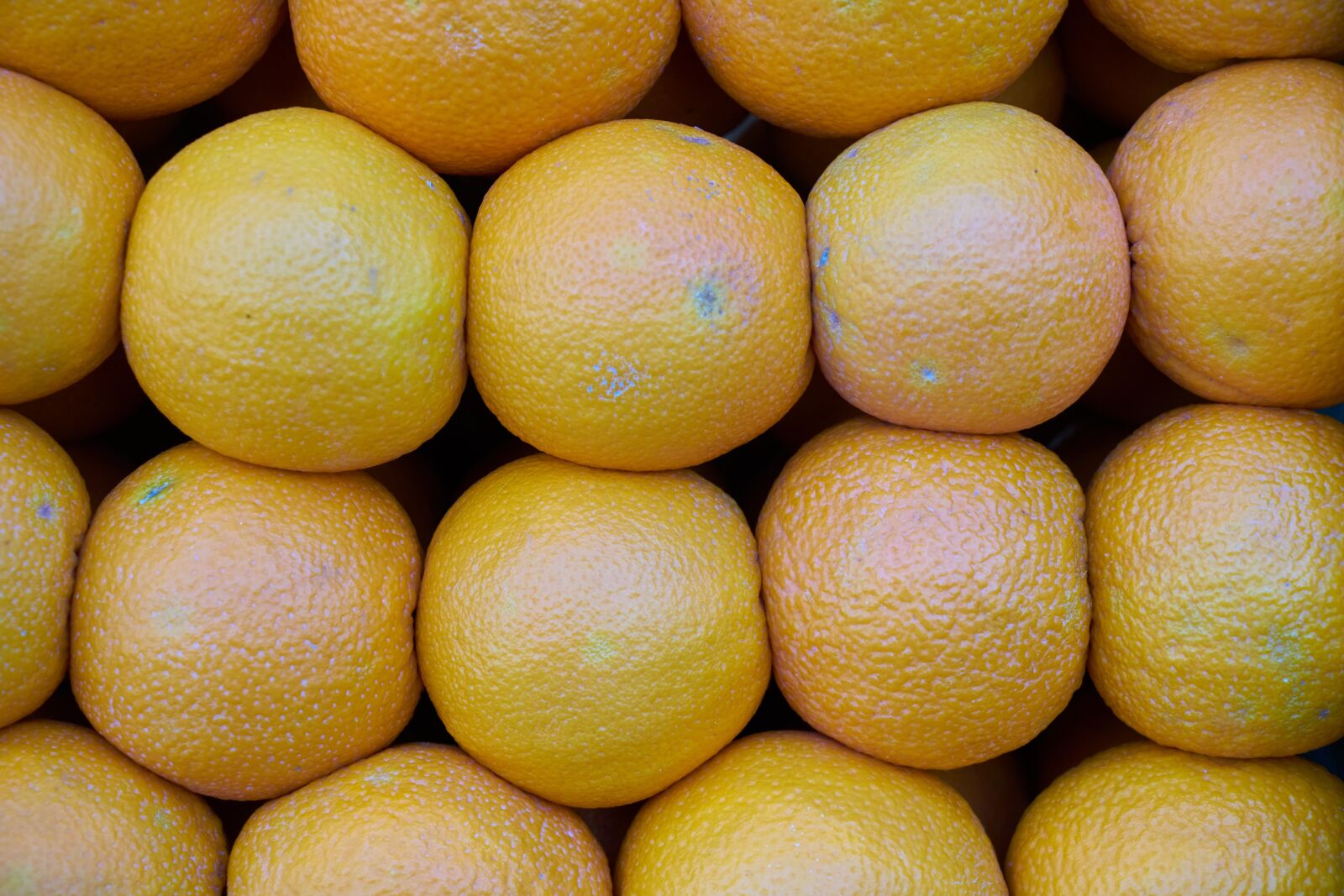 Sony a7R II sample photo. Grapefruit, fruit, fresh photography
