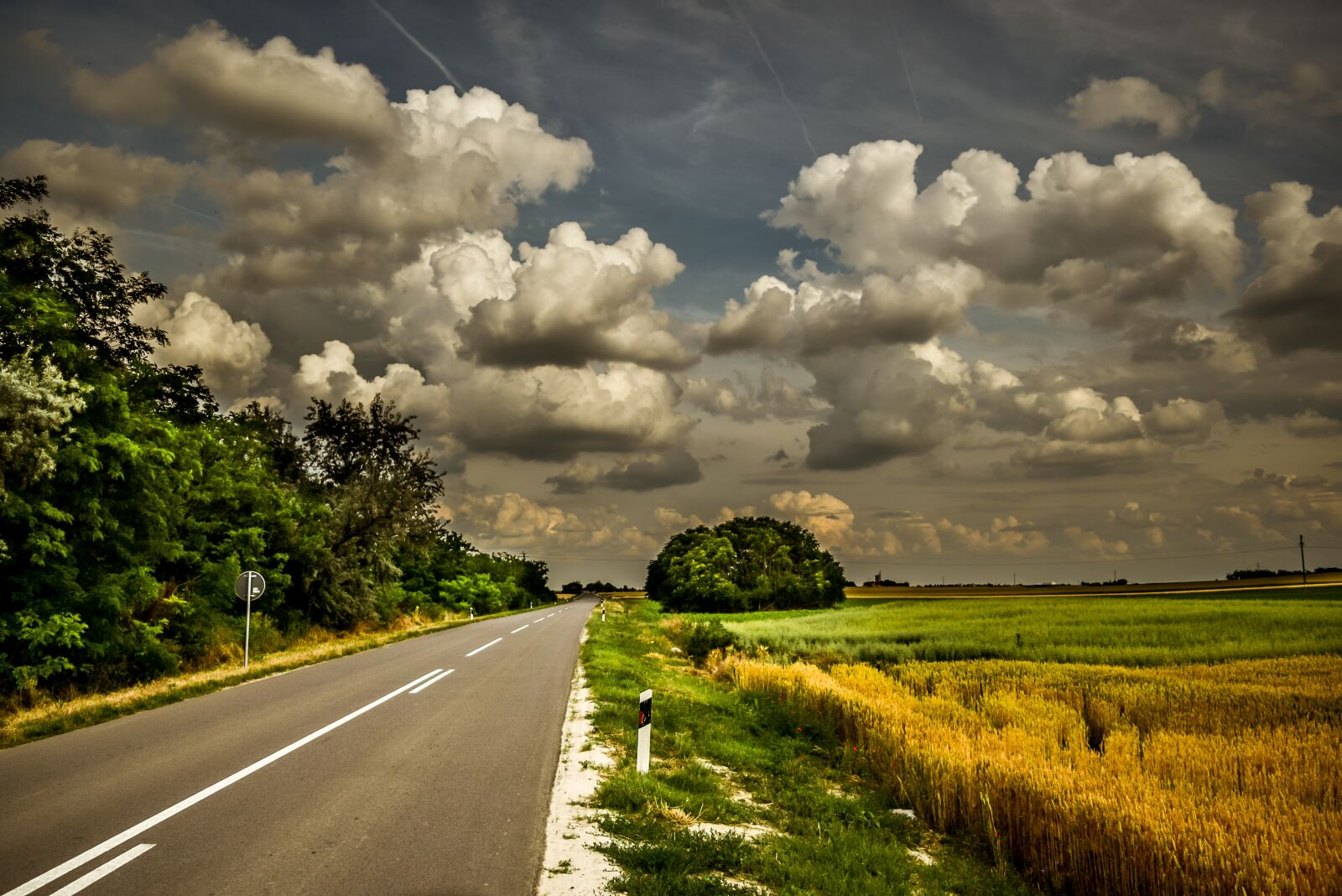 Nikon D3300 sample photo. Road, green, grass photography