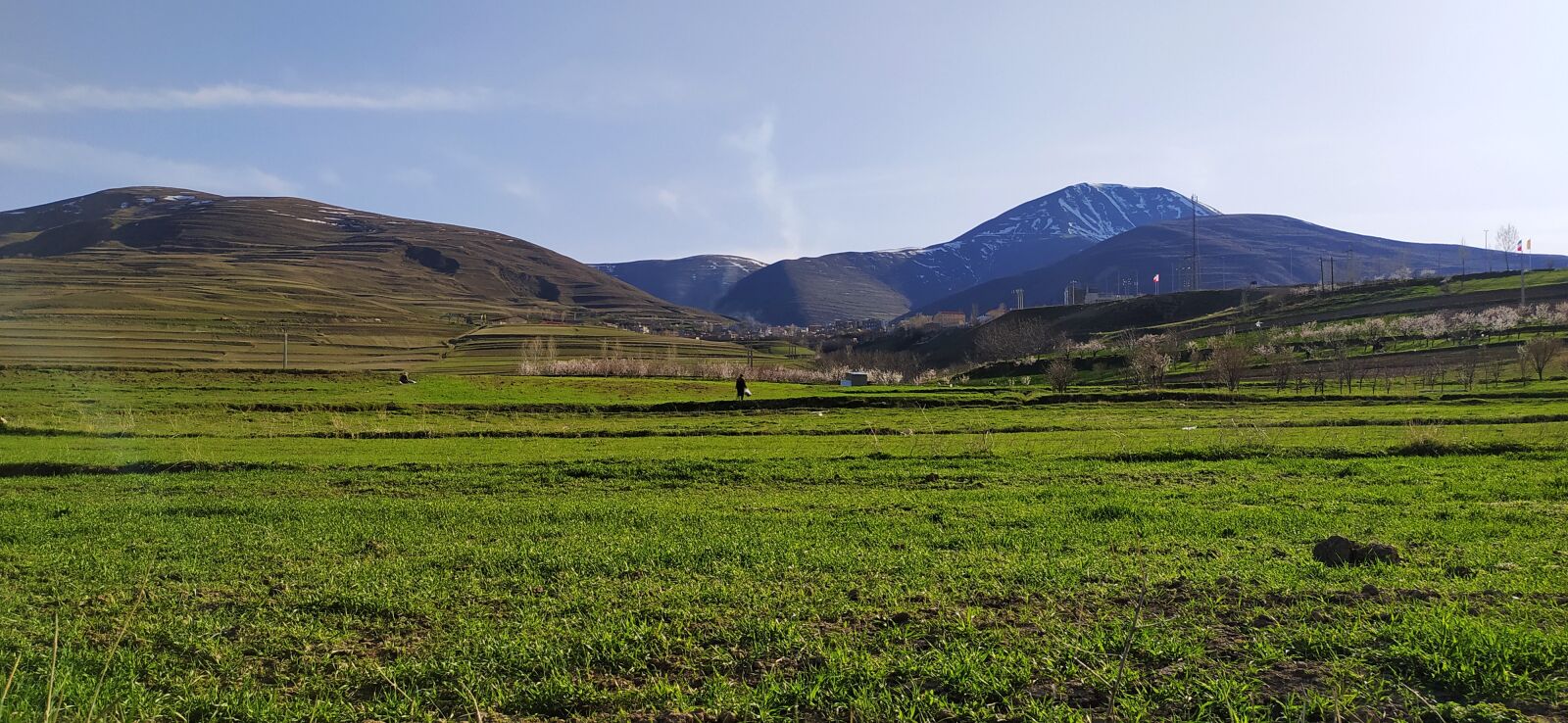 Xiaomi Redmi Note 8 sample photo. Field, landscape, wheat photography