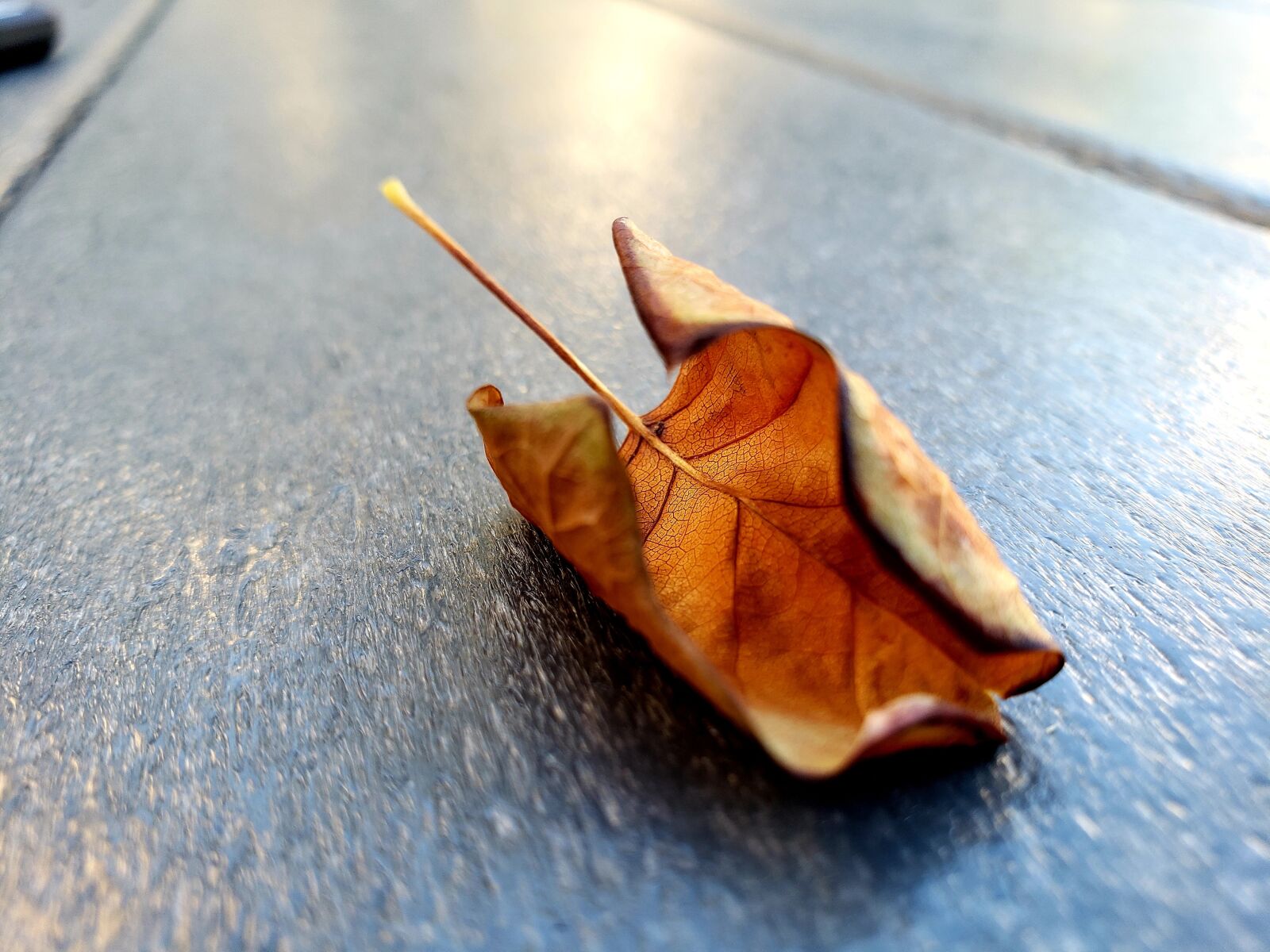 Samsung Galaxy S9 sample photo. Leaf, dried, table photography