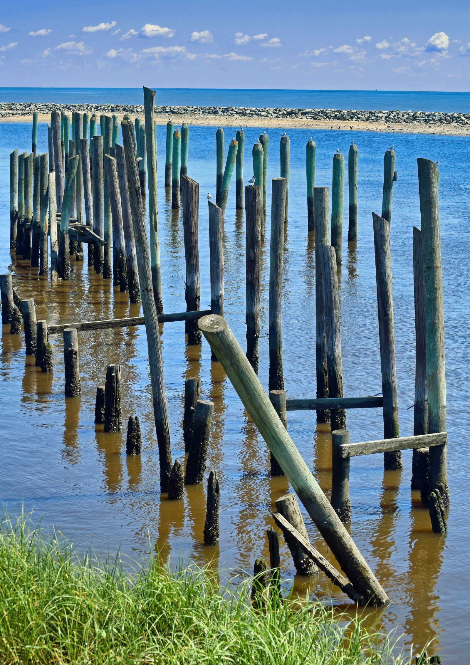 Nikon D3300 sample photo. Marsh, bay, wood photography