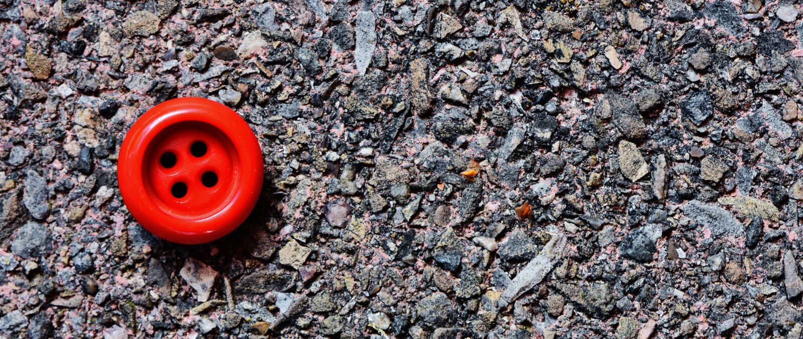 Nikon D7200 sample photo. Button, 4 holes, red photography