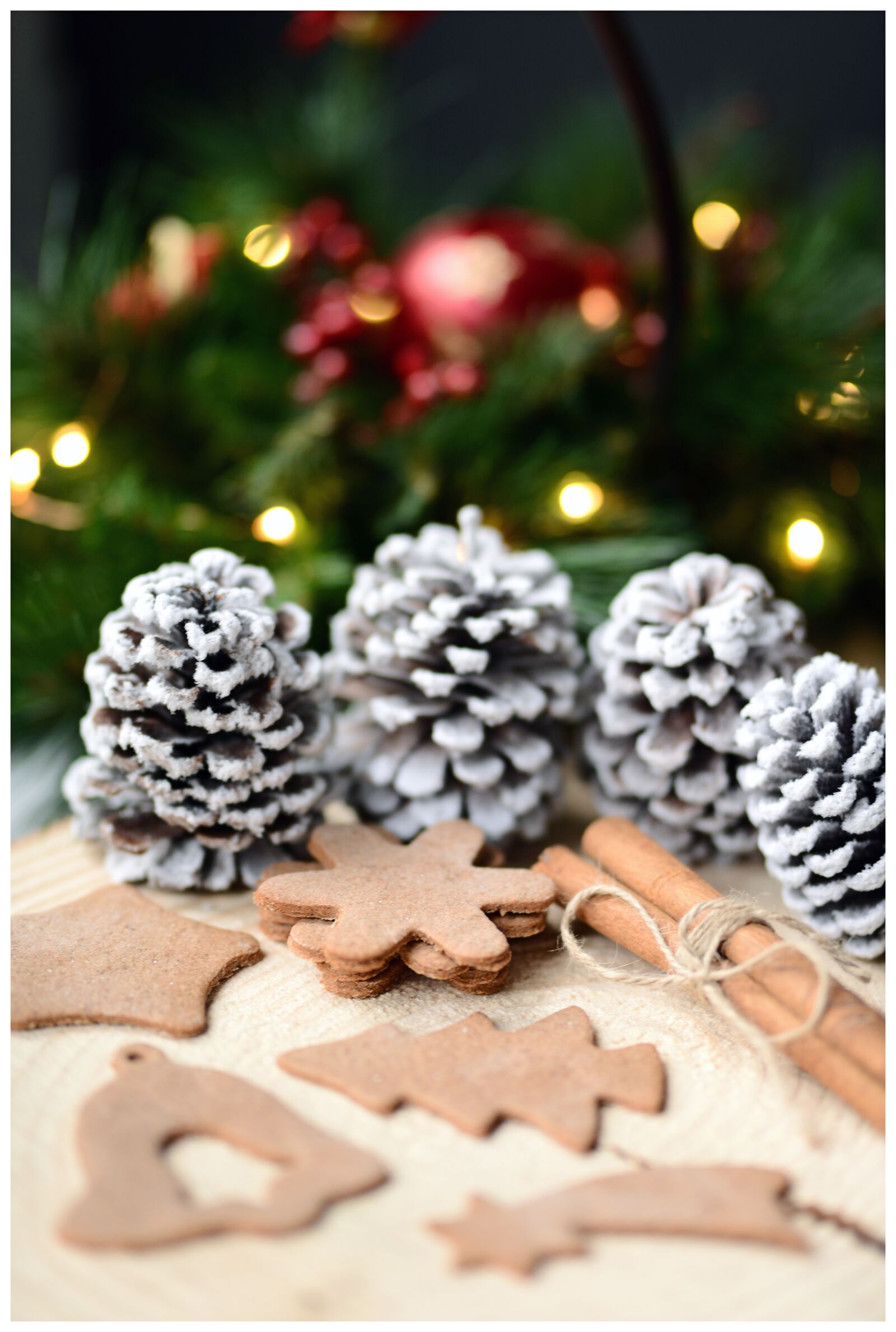 Nikon D800 sample photo. Gingerbreads, cones, cinnamon photography