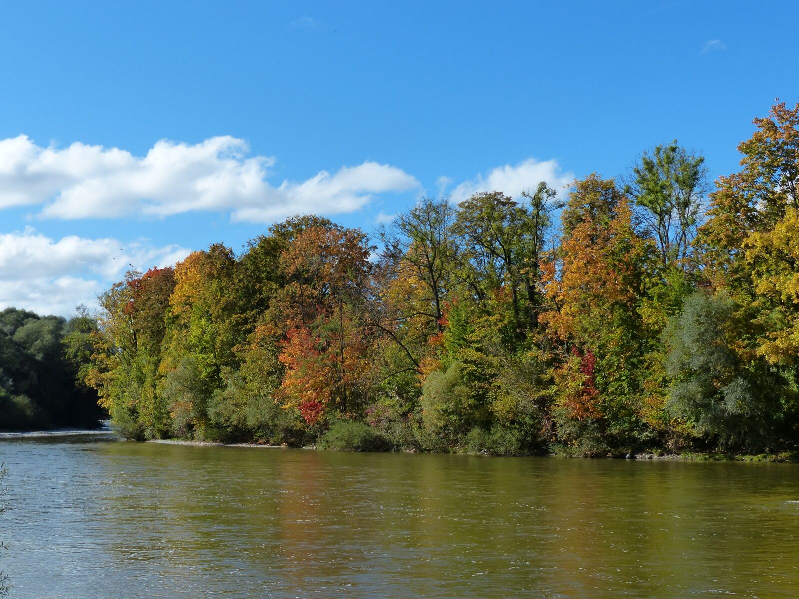 Panasonic Lumix DMC-FZ200 sample photo. Autumn, isar, forest photography