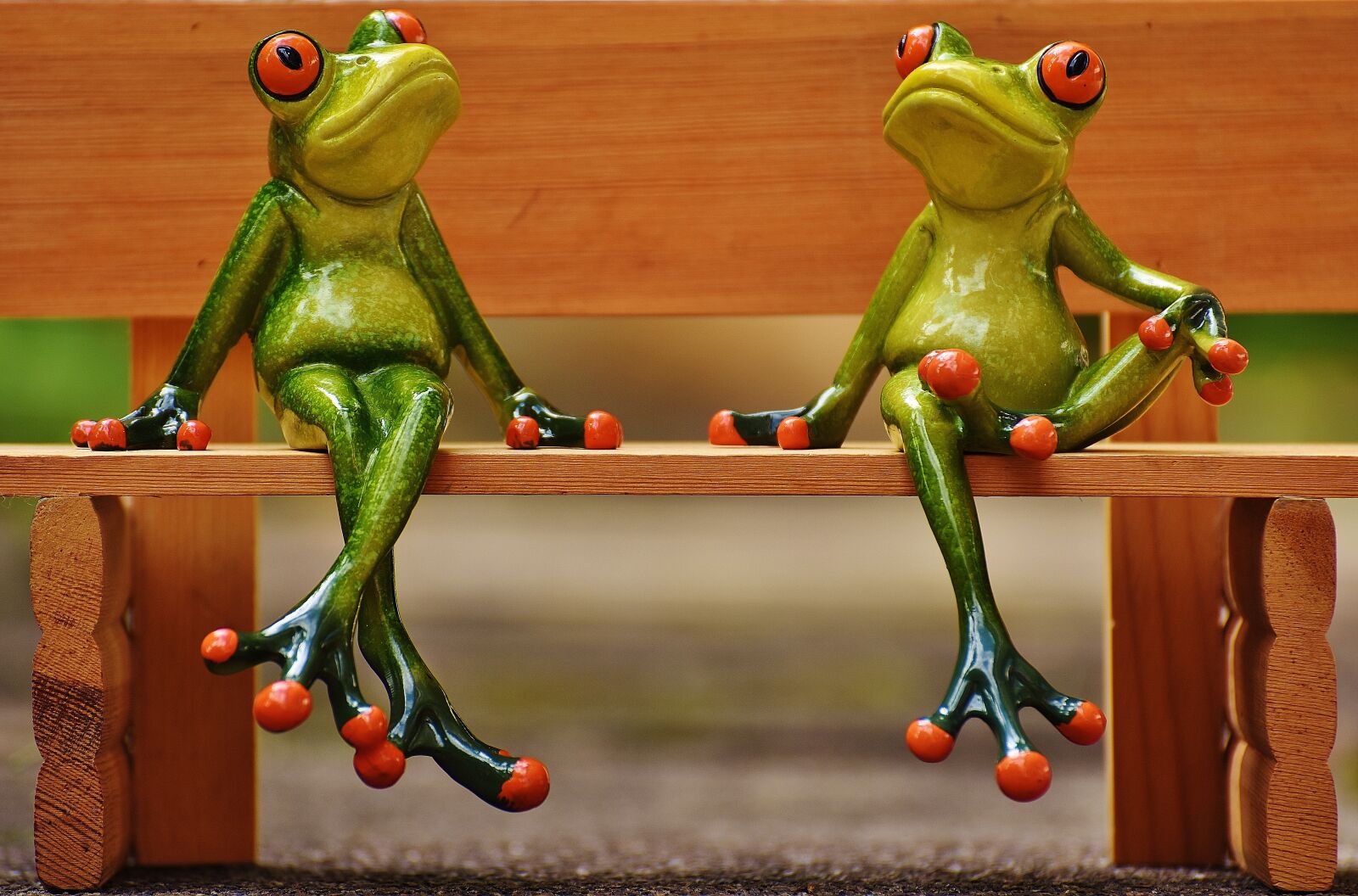 Nikon D7200 sample photo. Friends, sit, frogs photography