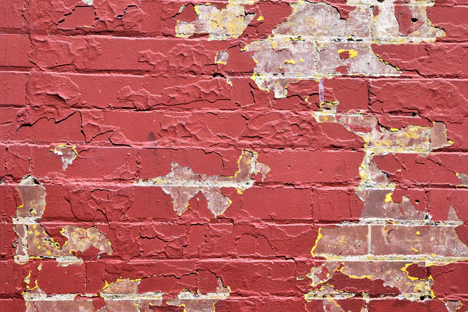 Nikon D3300 sample photo. Brick wall, background, backdrop photography