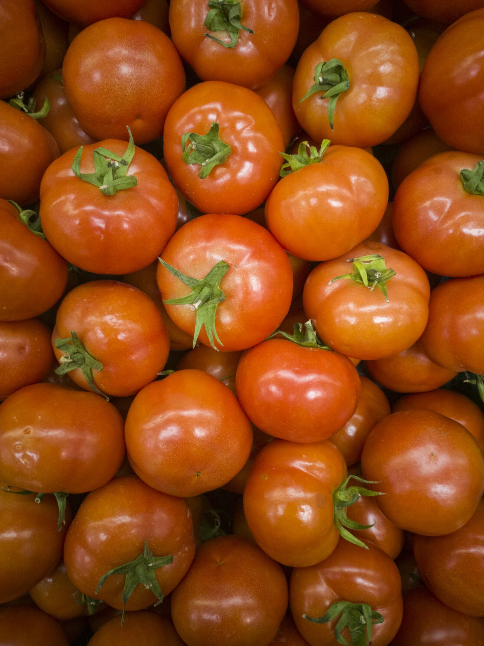 HUAWEI CLT-L09 sample photo. Tomato, beautiful, food photography