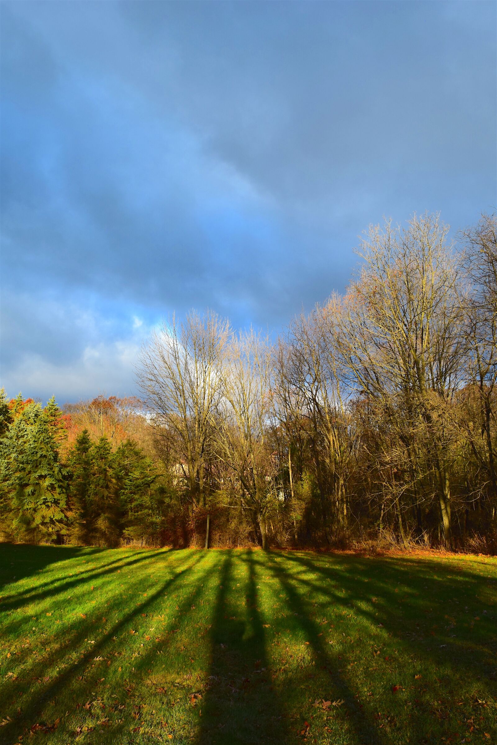Nikon D3300 sample photo. Sunrise, daylight, shadows photography