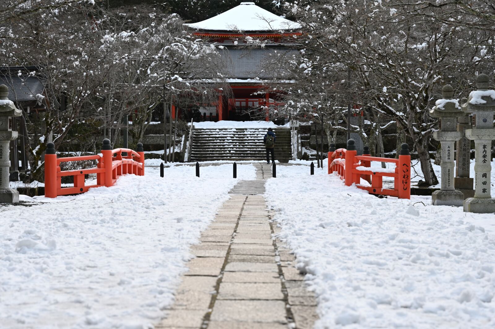 Nikon Nikkor Z 24-70mm F2.8 S sample photo. Temple, japan, snow photography