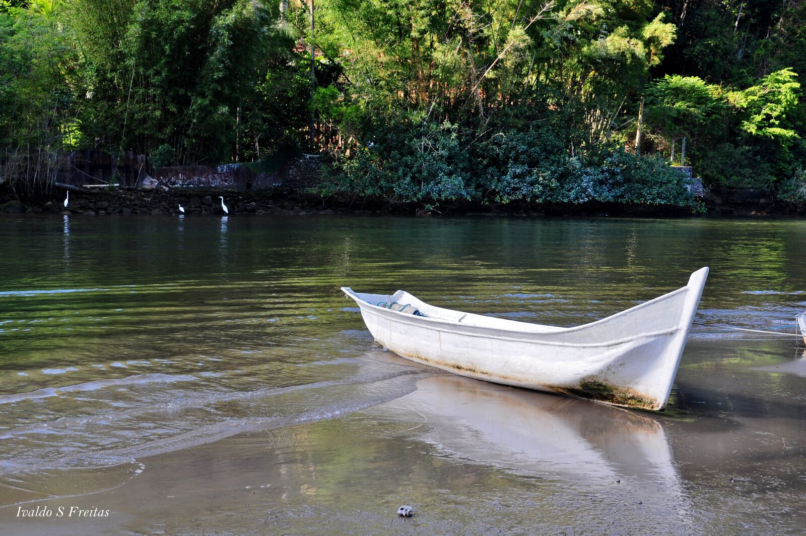 Nikon D90 sample photo. Canoa, água, rio photography