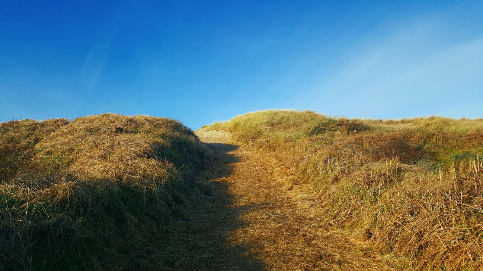 Samsung GALAXY S6 edge sample photo. Beach, texel, nederland photography