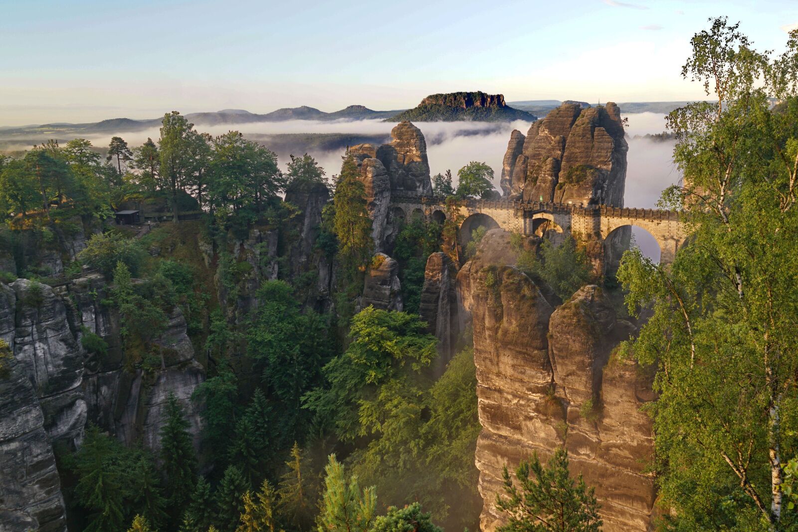 Sony a7R II + Sony Vario Tessar T* FE 24-70mm F4 ZA OSS sample photo. Bastei, saxon switzerland, natural photography