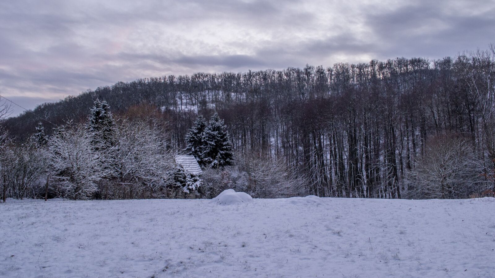 Nikon D3100 sample photo. B rzs ny, hungary photography