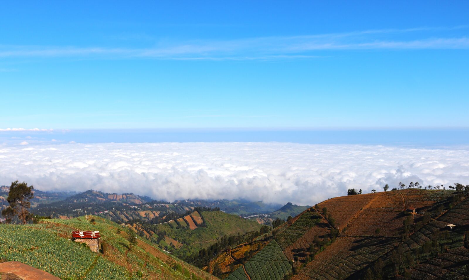 Canon EOS 200D (EOS Rebel SL2 / EOS Kiss X9) sample photo. Landscape, cloud, nature photography