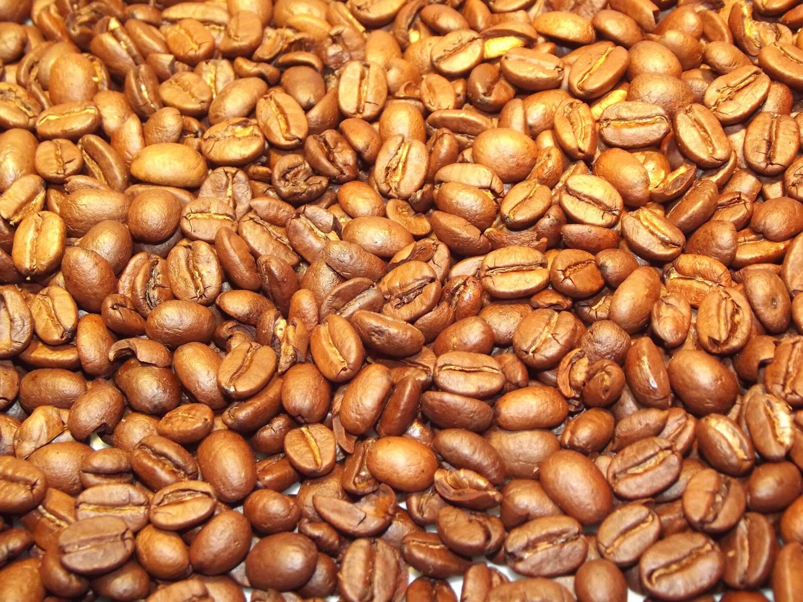 FujiFilm FinePix S2950 (FinePix S2990) sample photo. Beans, caffeine, coffee, coffee photography